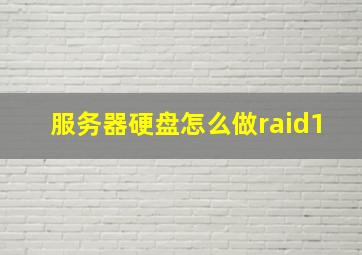 服务器硬盘怎么做raid1