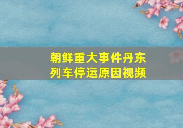 朝鲜重大事件丹东列车停运原因视频