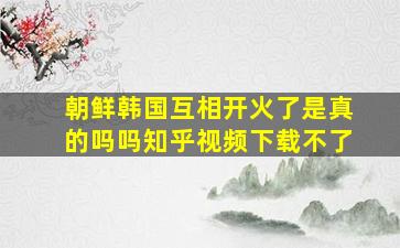 朝鲜韩国互相开火了是真的吗吗知乎视频下载不了