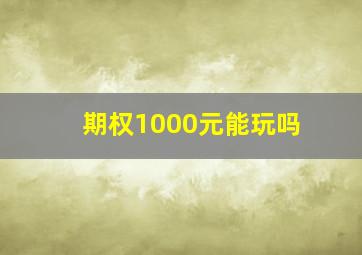 期权1000元能玩吗