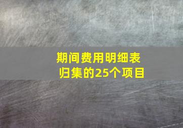 期间费用明细表归集的25个项目