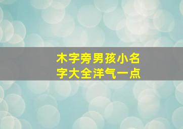 木字旁男孩小名字大全洋气一点