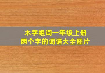 木字组词一年级上册两个字的词语大全图片