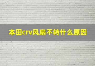 本田crv风扇不转什么原因