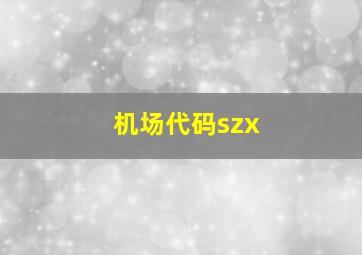 机场代码szx