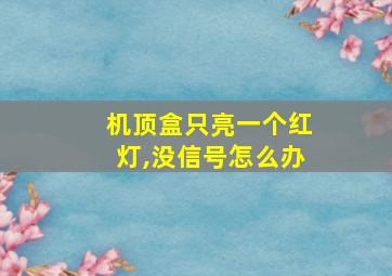 机顶盒只亮一个红灯,没信号怎么办