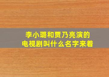 李小璐和贾乃亮演的电视剧叫什么名字来着