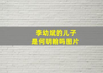 李幼斌的儿子是何明翰吗图片