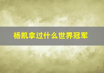 杨凯拿过什么世界冠军