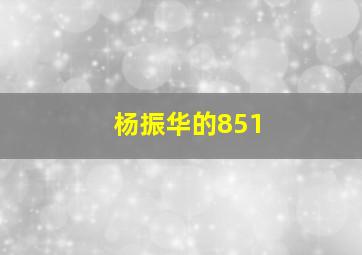 杨振华的851