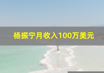 杨振宁月收入100万美元