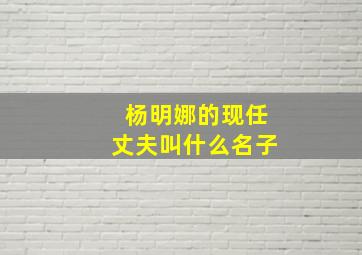 杨明娜的现任丈夫叫什么名子