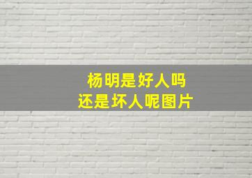 杨明是好人吗还是坏人呢图片