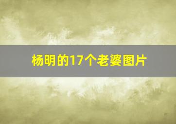 杨明的17个老婆图片