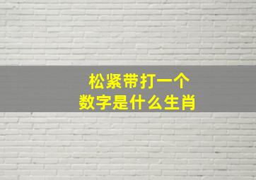 松紧带打一个数字是什么生肖