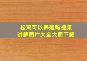 松鸡可以养殖吗视频讲解图片大全大图下载