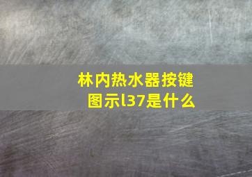 林内热水器按键图示l37是什么