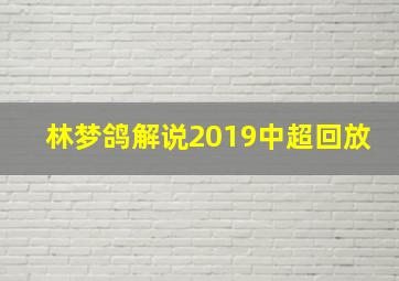 林梦鸽解说2019中超回放