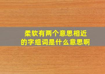 柔软有两个意思相近的字组词是什么意思啊