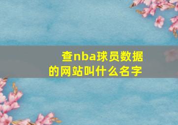 查nba球员数据的网站叫什么名字