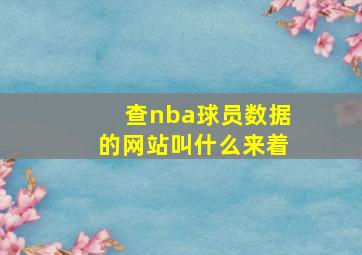 查nba球员数据的网站叫什么来着