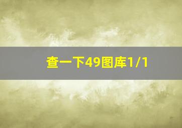 查一下49图库1/1