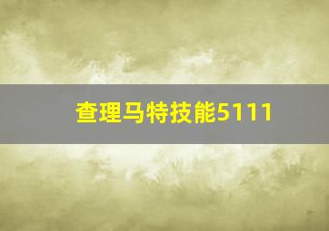 查理马特技能5111