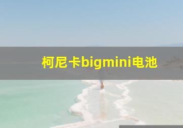 柯尼卡bigmini电池