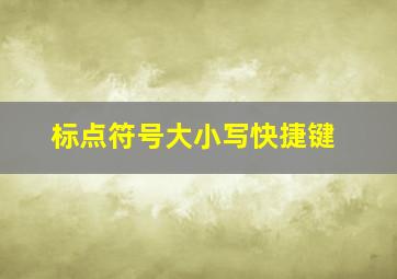 标点符号大小写快捷键