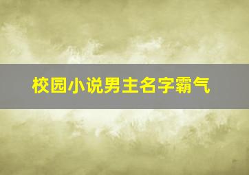 校园小说男主名字霸气