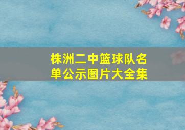 株洲二中篮球队名单公示图片大全集