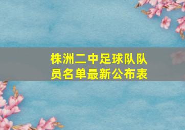 株洲二中足球队队员名单最新公布表