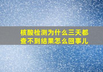 核酸检测为什么三天都查不到结果怎么回事儿