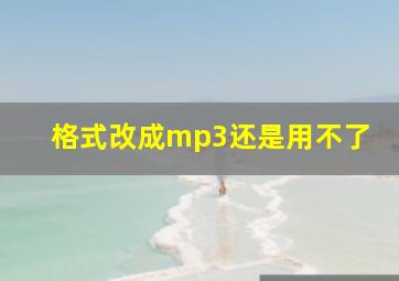 格式改成mp3还是用不了