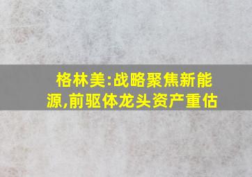 格林美:战略聚焦新能源,前驱体龙头资产重估