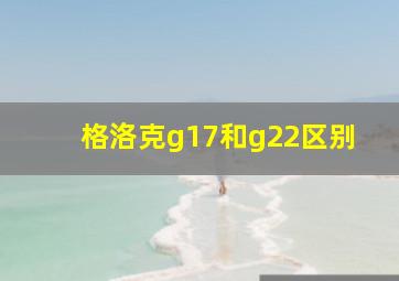 格洛克g17和g22区别