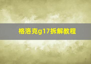 格洛克g17拆解教程