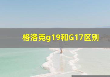 格洛克g19和G17区别