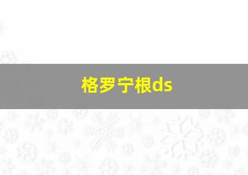 格罗宁根ds