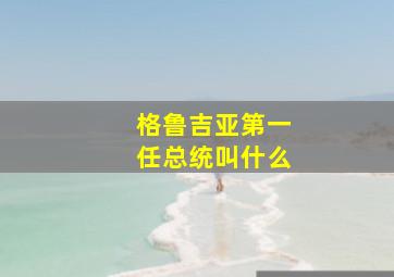 格鲁吉亚第一任总统叫什么