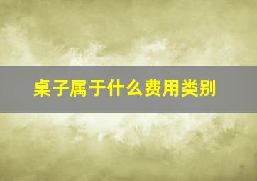 桌子属于什么费用类别