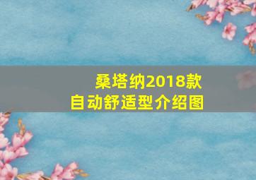 桑塔纳2018款自动舒适型介绍图