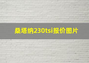 桑塔纳230tsi报价图片