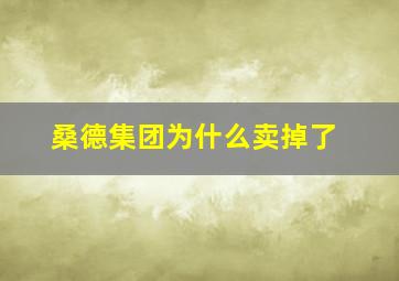 桑德集团为什么卖掉了