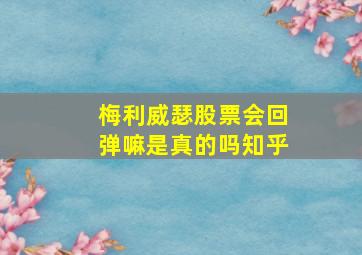 梅利威瑟股票会回弹嘛是真的吗知乎