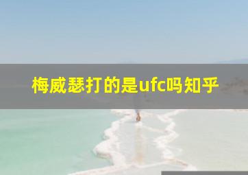 梅威瑟打的是ufc吗知乎