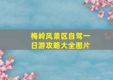 梅岭风景区自驾一日游攻略大全图片