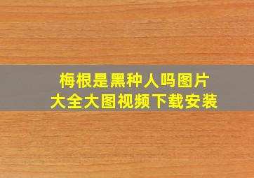 梅根是黑种人吗图片大全大图视频下载安装