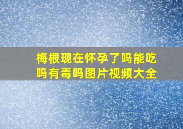 梅根现在怀孕了吗能吃吗有毒吗图片视频大全