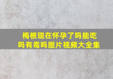 梅根现在怀孕了吗能吃吗有毒吗图片视频大全集